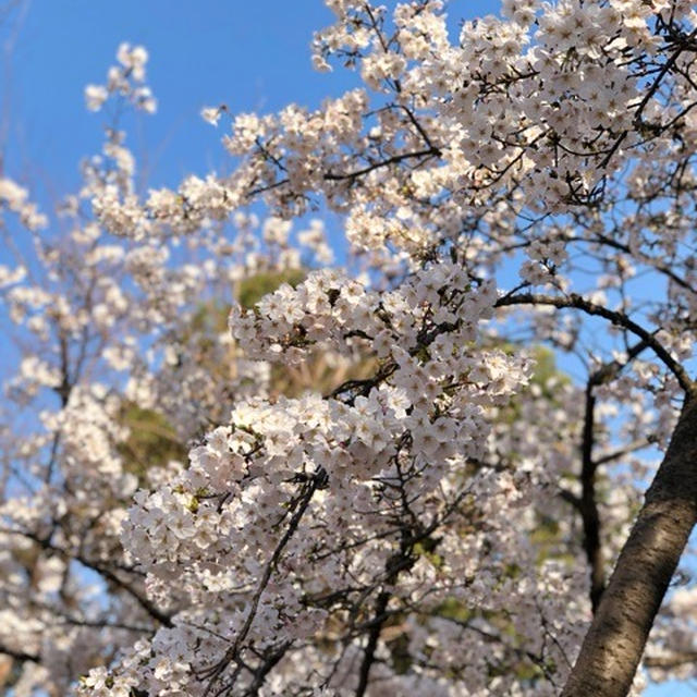 茨城県に認定講師さま♡新学期に向けて〜〜