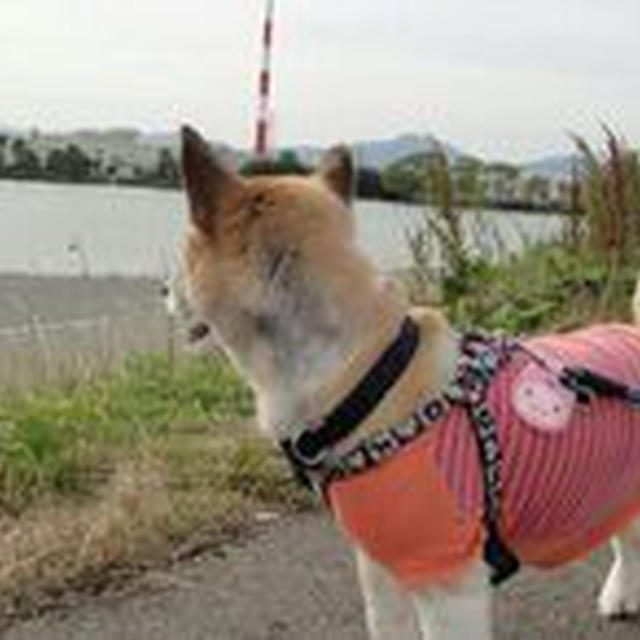 2013年06月05日のログ