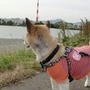 2013年06月05日のログ