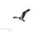 ■ウォーキング野鳥撮り編【昨日の清流の里で撮影分とストック野鳥さんです。】