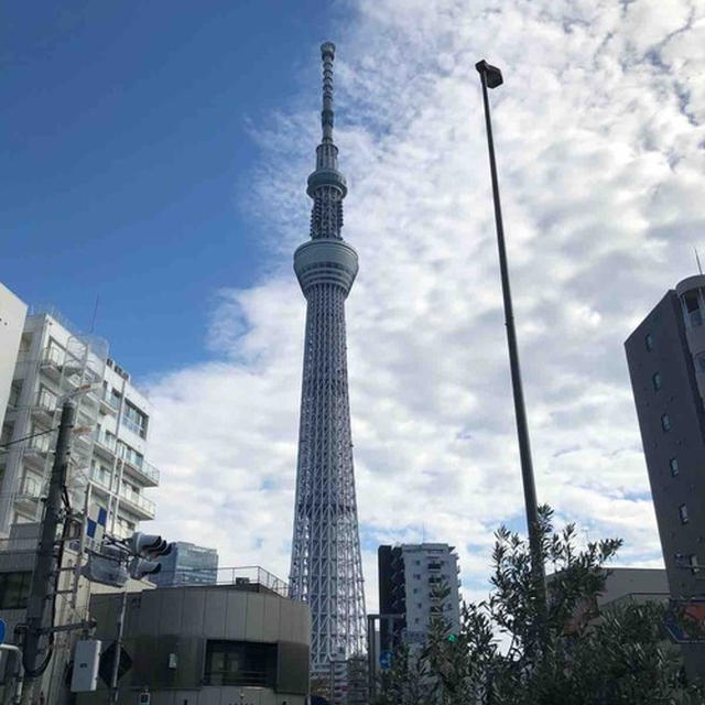 【　スカイツリー初登頂！　】