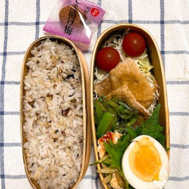 20250610豚の生姜焼き弁当