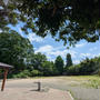 真夏日にはならなかったけど暑かった