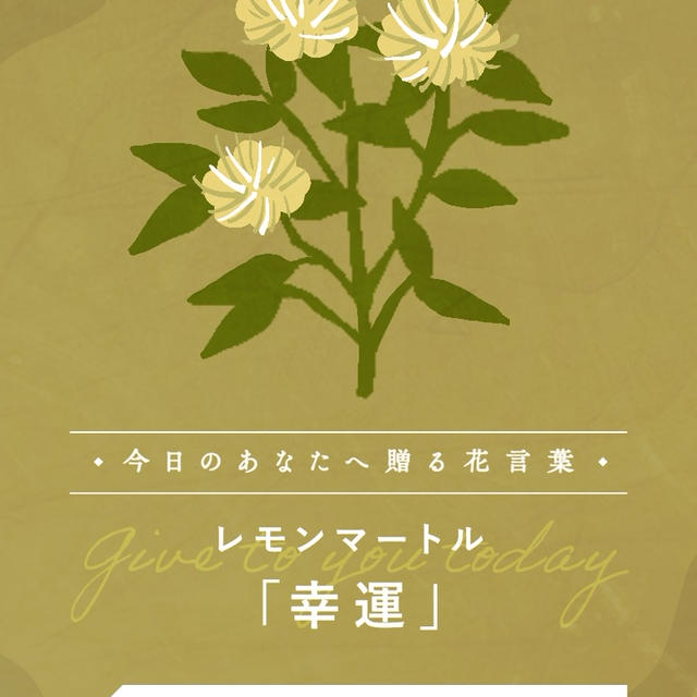 今日のあなたへ贈る花言葉