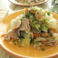 【冷凍作り置きアレンジ】『野菜スープの素』で中華風豚白菜炒め