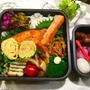 内科へ／塩鮭弁当