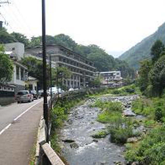 箱根アジサイの旅