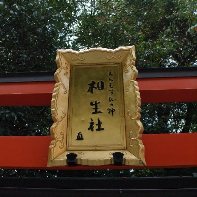 下鴨神社へいってきました。パート2。
