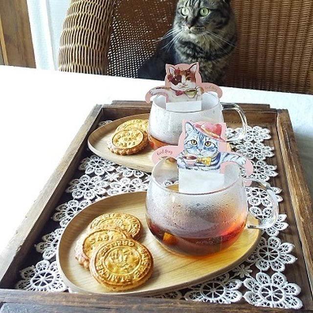 キャットカフェ♪ 思わずパケ買いした紅茶とガレットでおやつタイム
