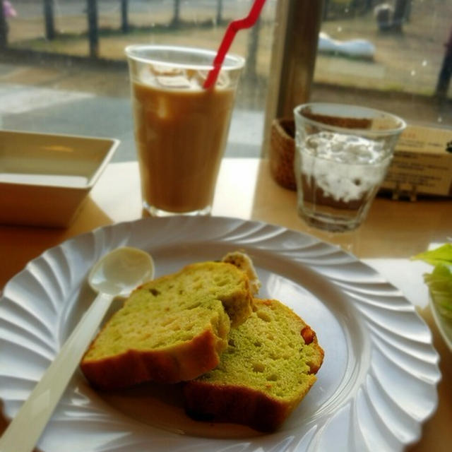 ドックカフェでのいぬ達の思い