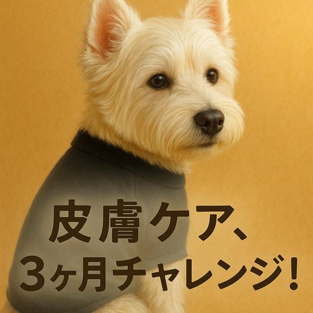 【宣言】ゆきち、皮膚の集中ケアはじめます！