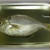魚屋さん攻略3