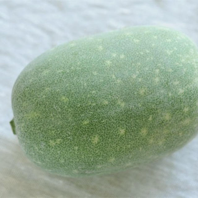 冬瓜　と　失敗パン