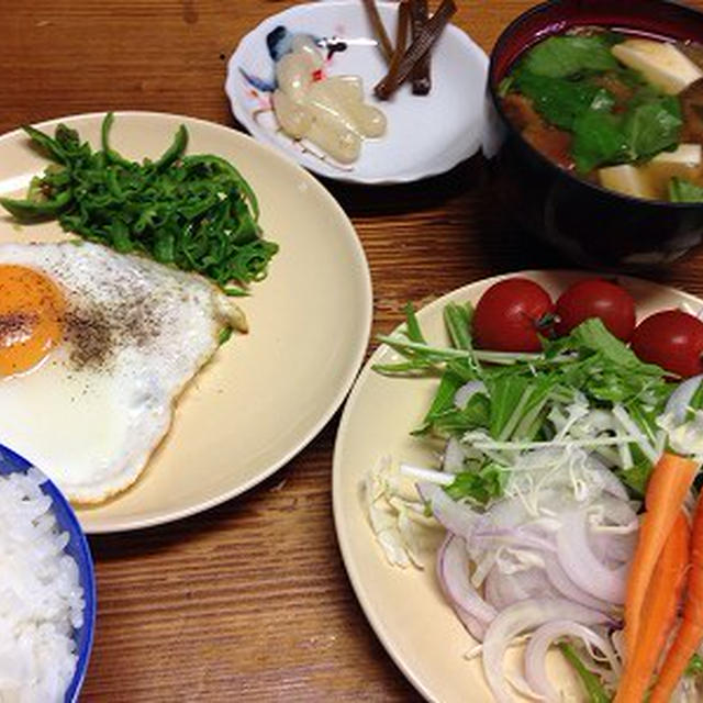 野菜サラダがメインの朝ご飯。きなこ爆睡中