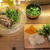 【三軒茶屋】ラム&amp;パクチー Salad Day　ラムとパクチー好きにオススメ！青パパイヤサラダ