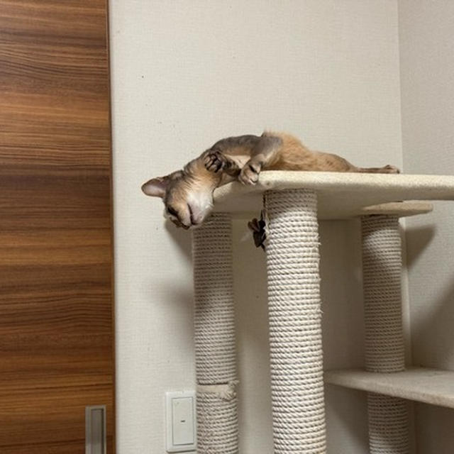落ちるよ
