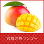 「宮崎完熟マンゴー」に投票しました☆『黄金 山葡萄の極 ジュピター』