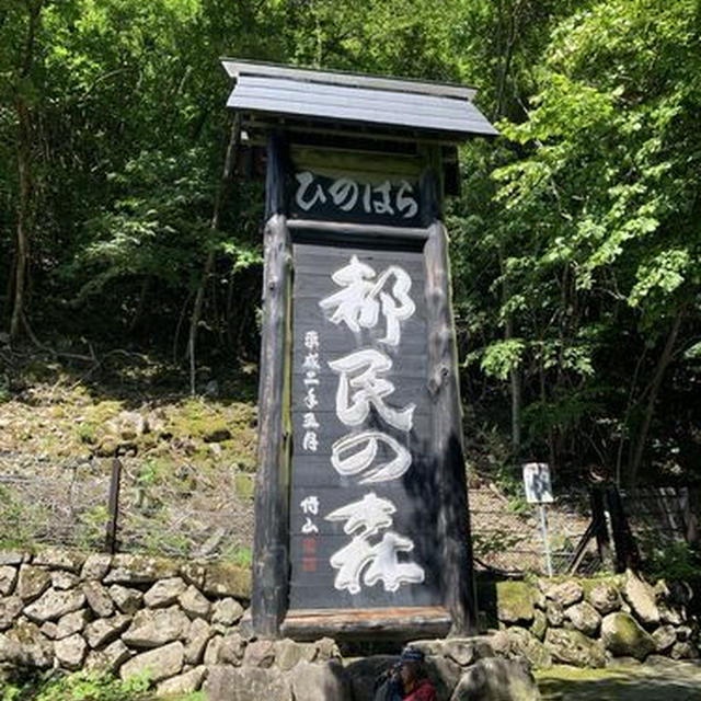 三頭山から笹尾根を歩き数馬の湯に下りる山旅(^^♪