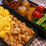 そぼろ弁当・・春から毎日弁当なんだよね