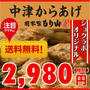 中津からあげを食す