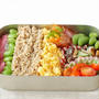 【夏休みの子供弁】４色ソボロ弁当