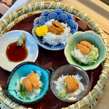 築地で雲丹の食べ比べしてきた✋
