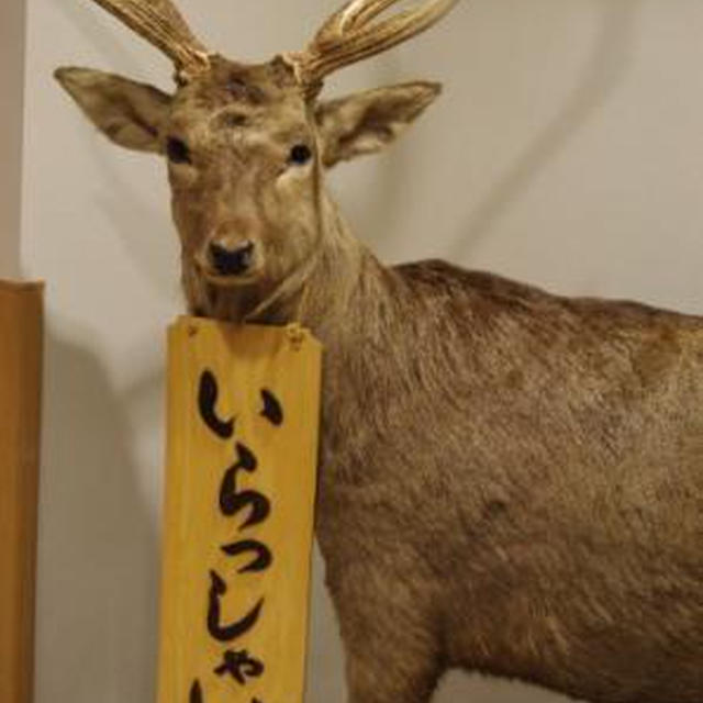 鹿のたたき