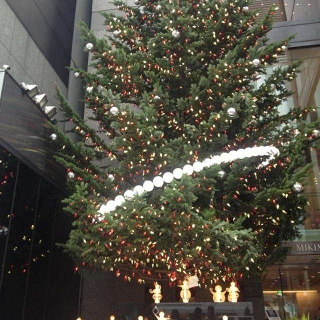 ミキモトのクリスマスツリー