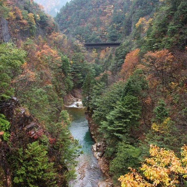 紅葉の川浦渓谷