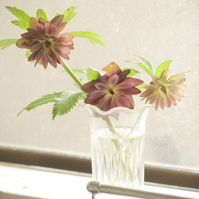 花を楽しむ、、、
