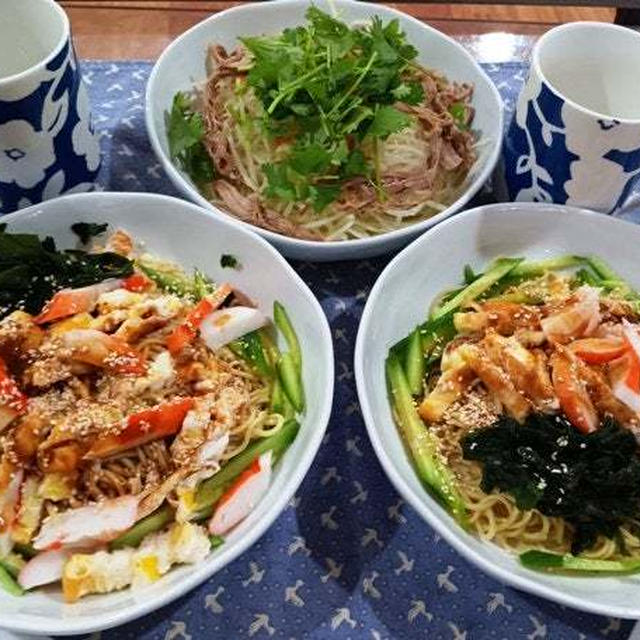 庭木に添え木を設置 ～ 冬なのに冷やし中華