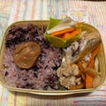 最近のお弁当　＆　アジサイロード