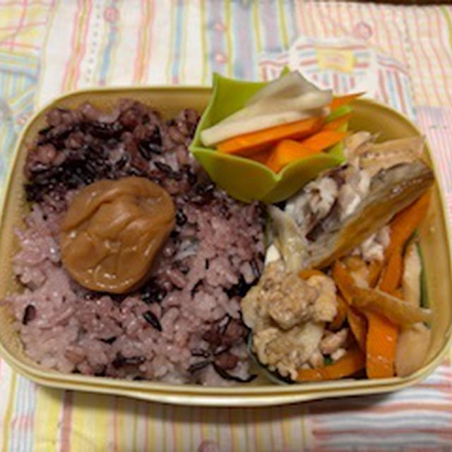 最近のお弁当　＆　アジサイロード