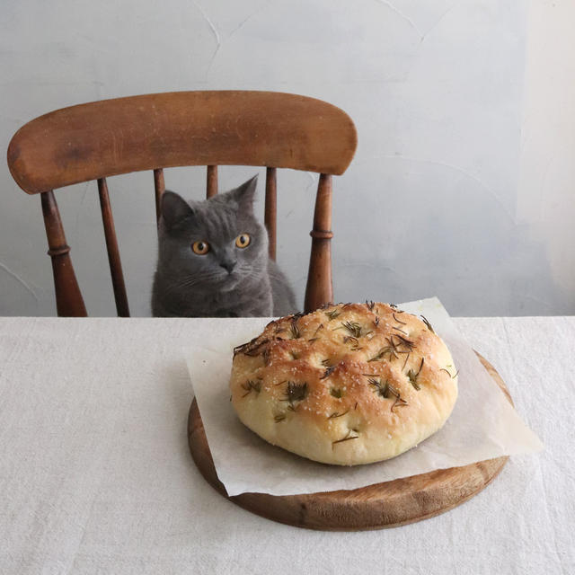 Focaccia