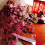 お花屋さんにこんな可愛いもの(*^^*)