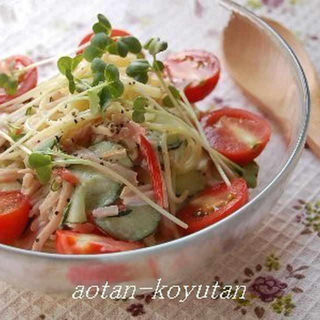 ｻﾗｽﾊﾟdeｻﾗﾀﾞｽﾊﾟ（ﾚｼﾋﾟ付）