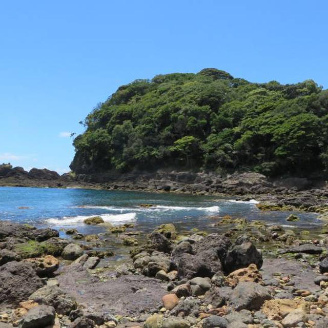 家族旅行2日目★伊豆 菖蒲沢海岸でビーチコーミング
