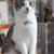 元保護猫✳︎４ヶ月になりました〜るいとらん〜