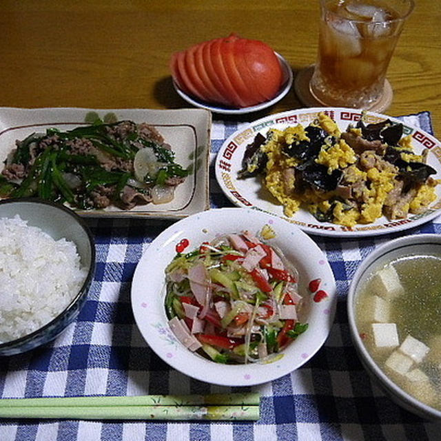 【夕食】肉ニラ炒め・ムースーロー・春雨サラダ…