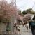 春の山登り☆