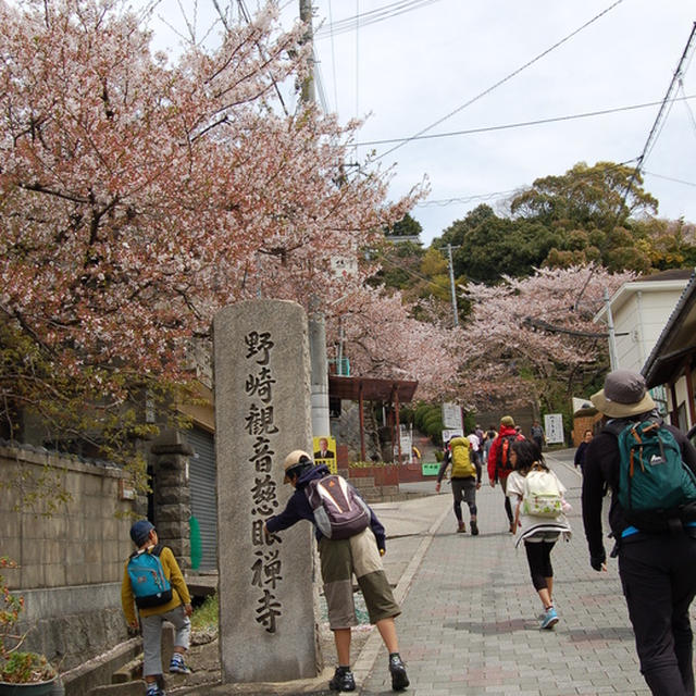 春の山登り☆