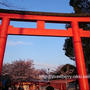こんにちは令和♪｜京都の令和元年の御朱印
