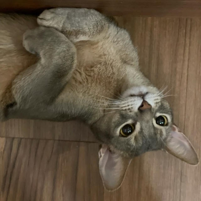 ぼく、何してると思います？