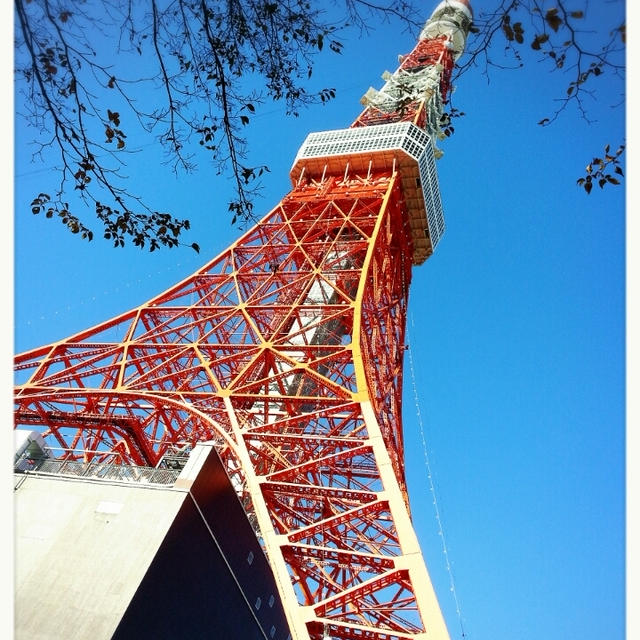 ”朝ウォーキング❤️”まさかの同じ東京タワーにびっくりしました( *´艸｀)