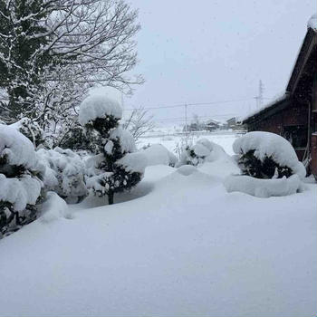 大雪とおうちご飯