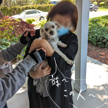 サンフランシスコ空港に着いたら