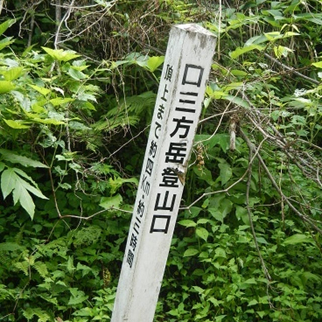 口三方岳・2014