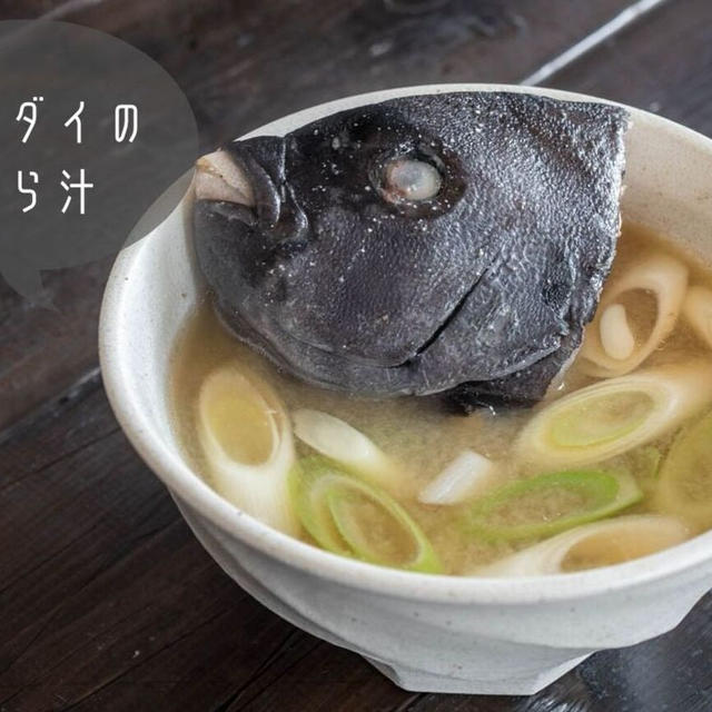 魚の下処理がポイント♪臭くない旨味たっぷり『イシダイのあら汁』のレシピ・作り方