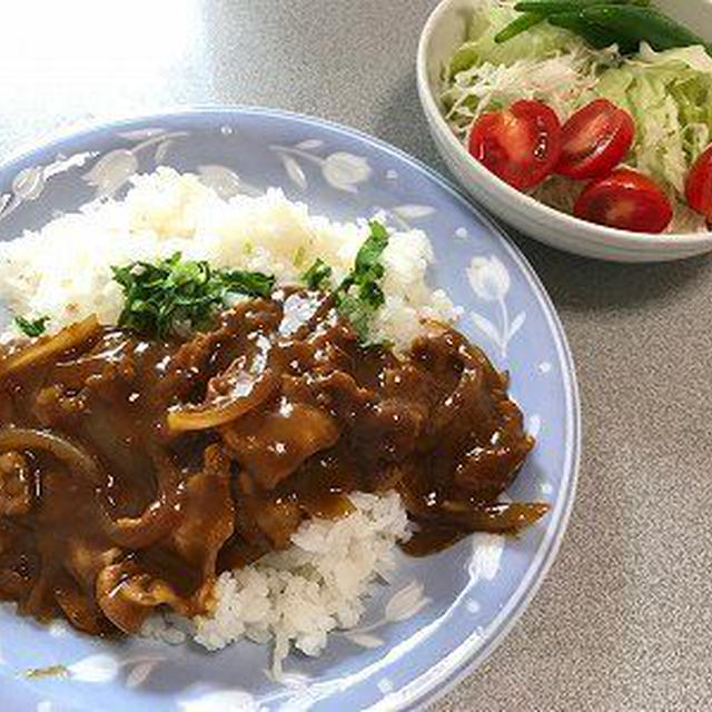 ハッシュドビーフ風豚しゃぶカレー。あんこの寝姿