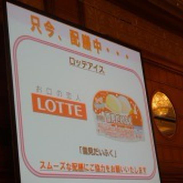 第46回リアルサンプリングプロモーションinお台場⑬